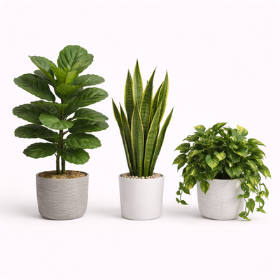 Künstliche Pflanzen