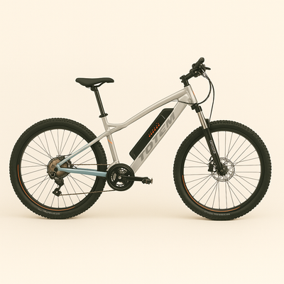 E-bike