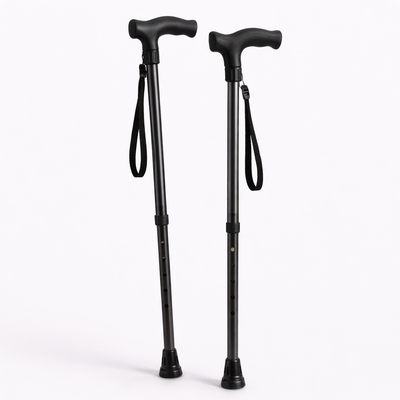 walking sticks
