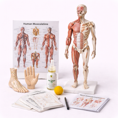 Materiale didattico per il massaggio