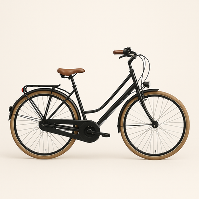 Biciclette da città e biciclette olandesi