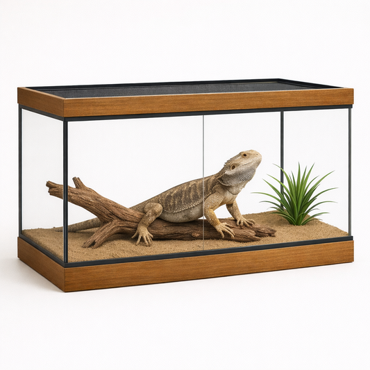 Reptiles