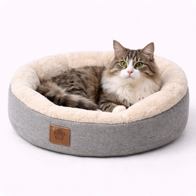 cuccia per gatti