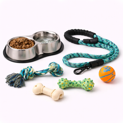 Dog accessories