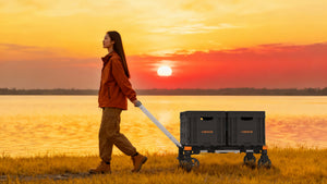 Transportwagen CampFlex mit 2 Boxen und Deckel