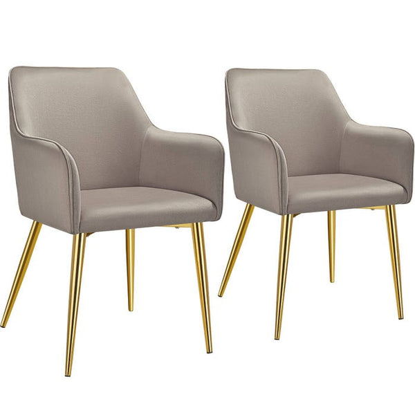 Armlehnstuhl Avane, Samtoptik, gepolstert taupe 2er Set