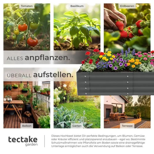 Hochbeet Salvia