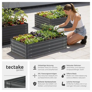 Hochbeet Salvia