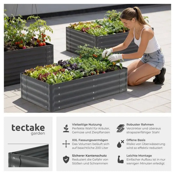 Hochbeet Salvia