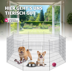Freilaufgehege Fluffy