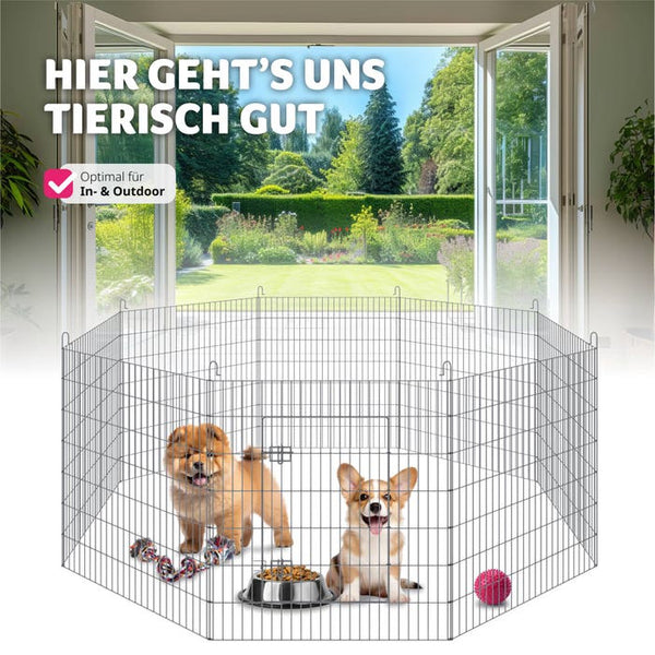 Freilaufgehege Fluffy