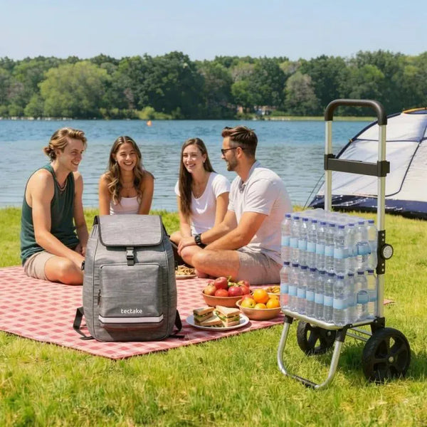 Einkaufstrolley Shopper 3in1 klappbar mit Kühltasche grau