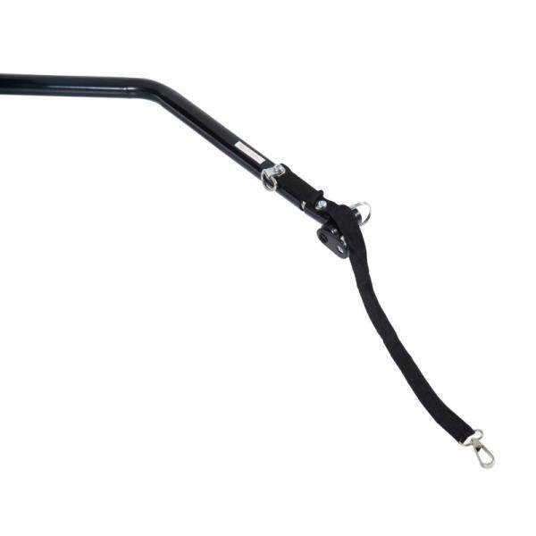 Transportanhänger Lasten-Fahrradanhänger CargoTrailer schwarz