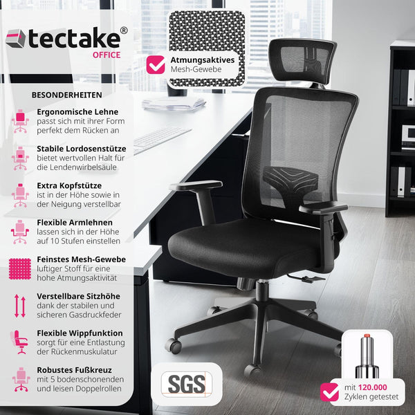 Phoibe ergonomic office chair with adjustable headrest