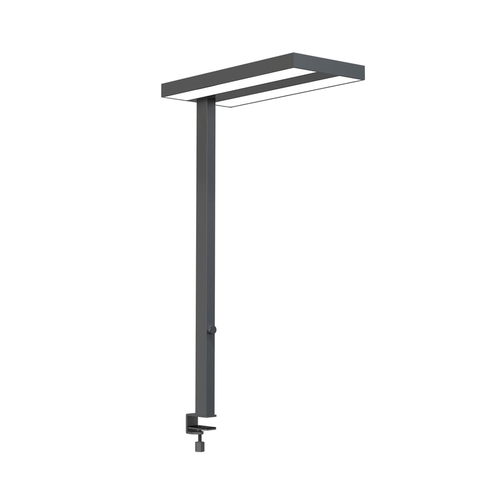 Lampada da ufficio a LED CONTINI con morsetto da tavolo Flare dimmerabile antracite