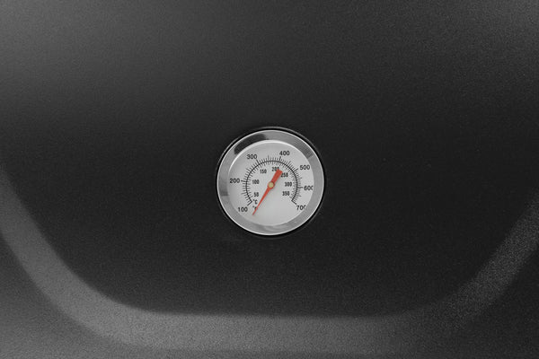BBQ Gasgrill 3 Brenner