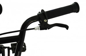 TOTEM BMX Freestyle Bike 20""""