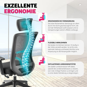 Phoibe ergonomic office chair with adjustable headrest