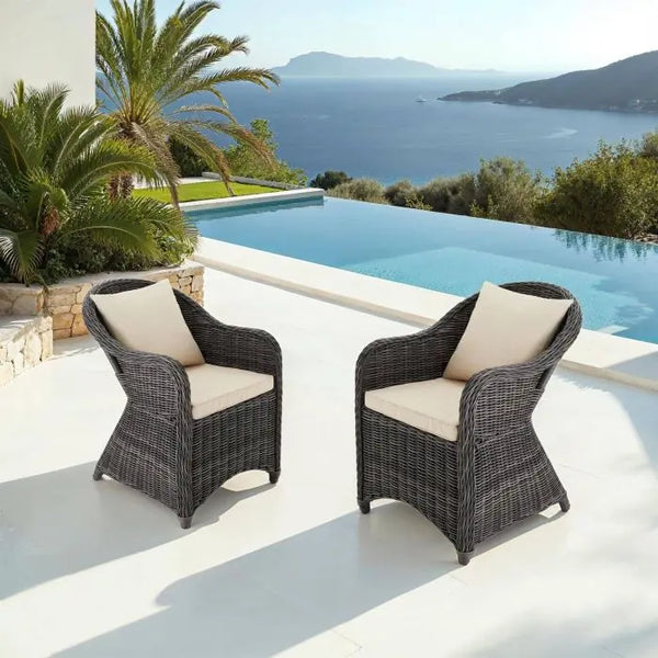 2er Set Aluminium Rattansessel