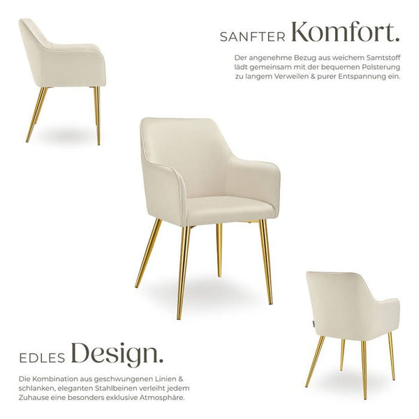 Armlehnstuhl Avane, Samtoptik, gepolstert beige 6er Set