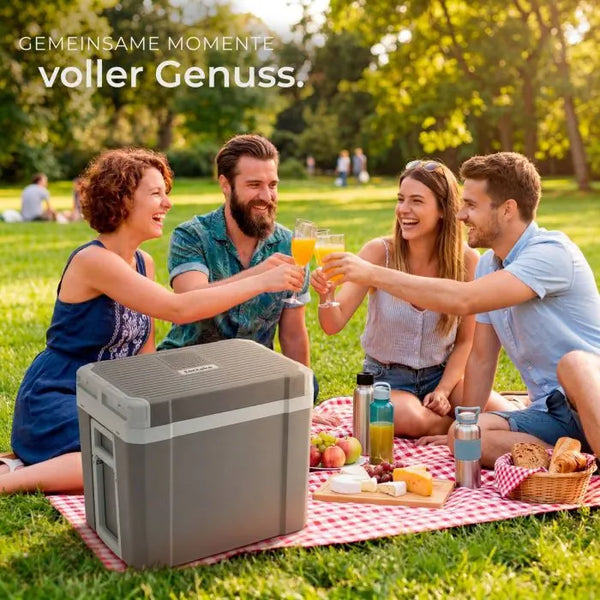 Elektrische Kühl- und Wärmebox