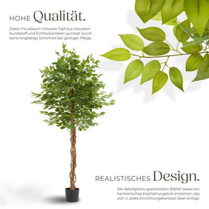 Ficus artificiel Fida 180 cm 