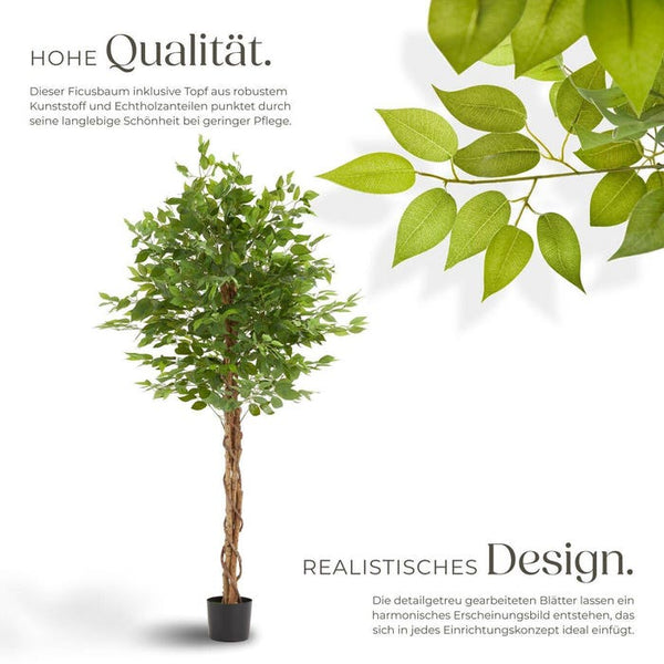 Ficus artificiel Fida 180 cm 