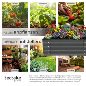 Hochbeet Salvia
