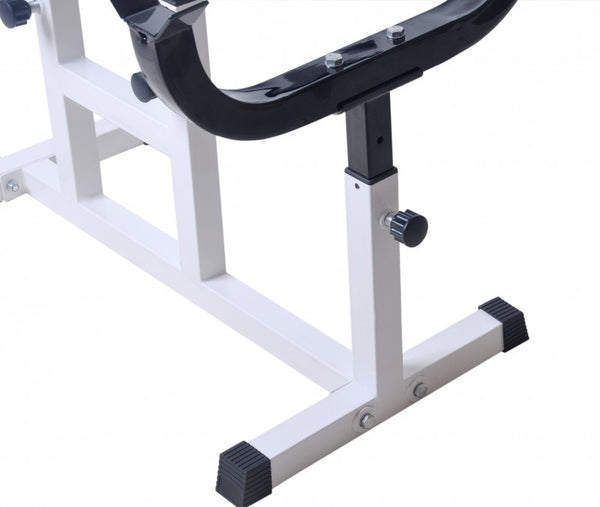 Curlpult, Bizepstrainer