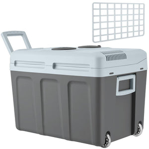 Electric cooling and warming box