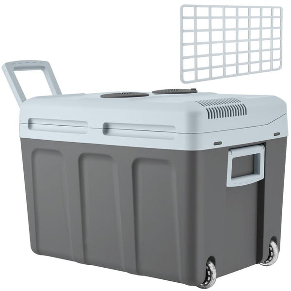 Electric cooling and warming box