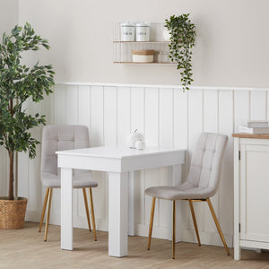 Essgruppe 2er-Set Polsterstühle Creme Samt ohne Armlehne Esstisch Weiss 90 x 60 cm