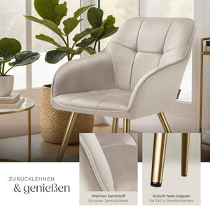 Esszimmerstuhl Marilyn taupe/gold 2er Set