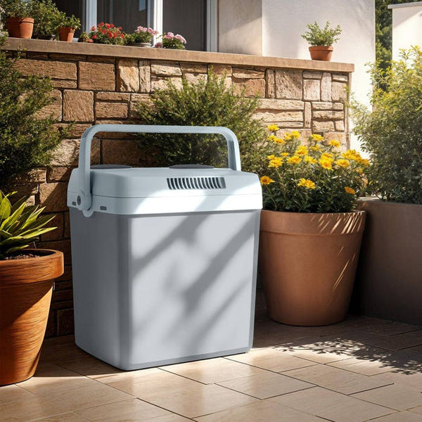 Electric cooling and warming box
