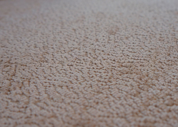 2er-Set Esszimmerstühle drehbar Chenille Öko-Tex hellbraun