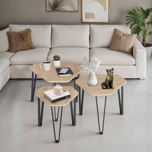 Beistelltisch-Set Torquay Industrial Holz hell, Eiche Sonoma