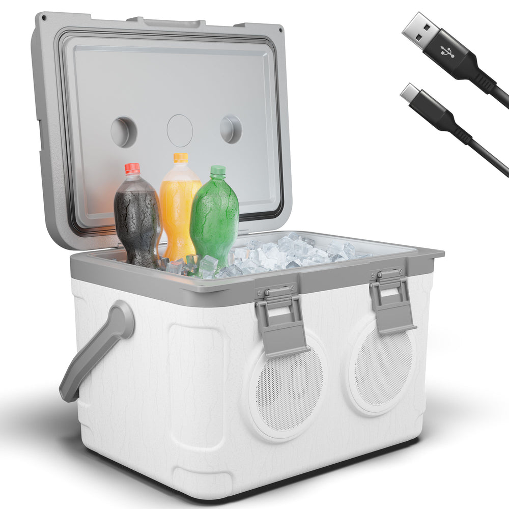 3-in-1 Musikkühlbox mit Bluetooth 21l tragbar & stylisch