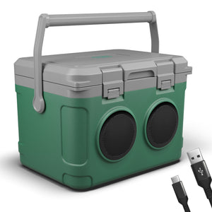 3-in-1 Musikkühlbox mit Bluetooth 21l tragbar & stylisch