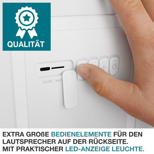 3-in-1 Musikkühlbox mit Bluetooth 21l tragbar & stylisch
