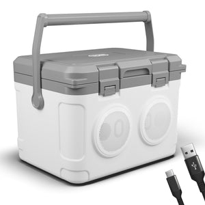 3-in-1 Musikkühlbox mit Bluetooth 21l tragbar & stylisch