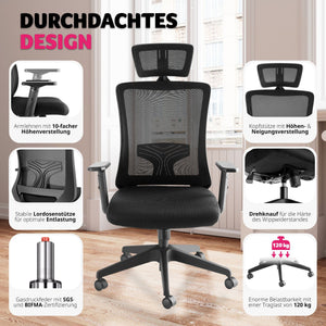 Phoibe ergonomic office chair with adjustable headrest