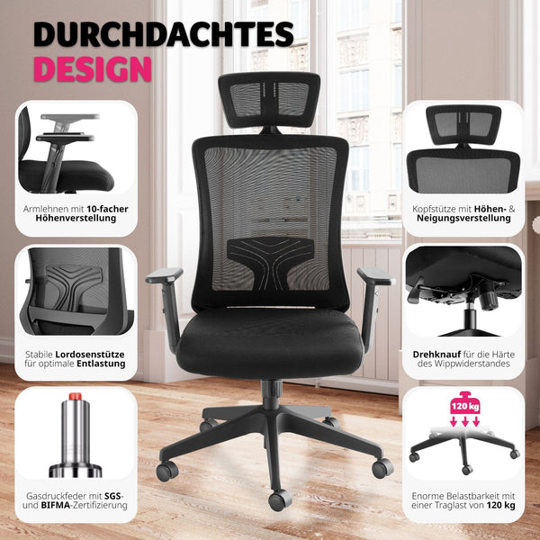 Phoibe ergonomic office chair with adjustable headrest