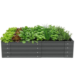 Hochbeet Salvia