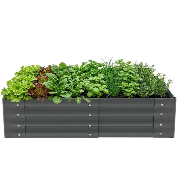Hochbeet Salvia