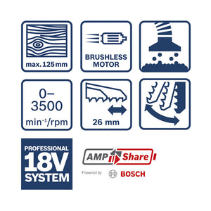 Bosch GST 18V-125 S (solo L)