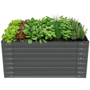 Hochbeet Salvia
