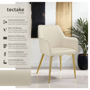 Armlehnstuhl Avane, Samtoptik, gepolstert beige 2er Set