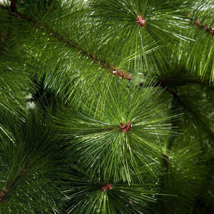 Künstlicher Weihnachtsbaum 90 cm x 90 cm 210 cm