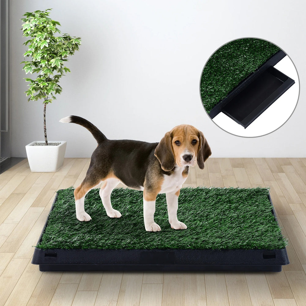 3-piece puppy toilet set, dog toilet, dog toilet, 63x51cm