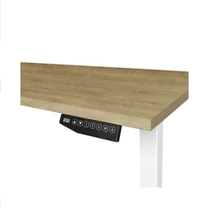 CONTINI höhenverstellbarer Bürotisch 1.4x0.8m Eiche / Gestell ET225E weiss RAL 9016